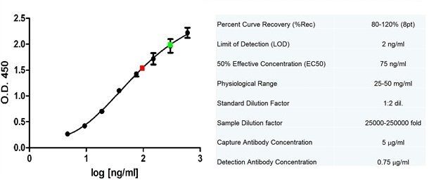 Albumin antibody [BGN/1328/33 (UA33)]