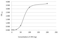 EPO antibody