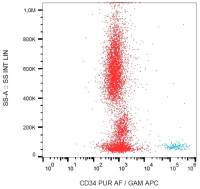 CD34 antibody [QBEnd/10] (Azide Free)