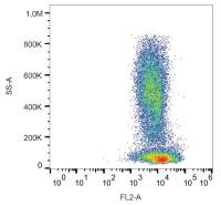 CXCR4 antibody [12G5] (PE)