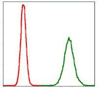 PPP2R4 antibody [4D9]