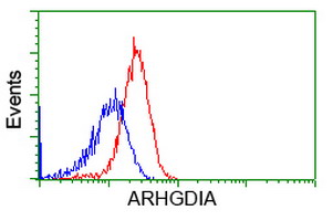 Rho GDI alpha antibody [1F2]
