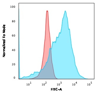 GluT1 antibody [GLUT1/3132R]