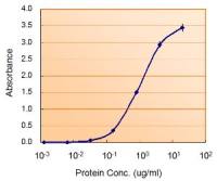 Monoamine Oxidase B antibody, Internal