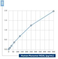 Lipocalin-2 antibody [33]