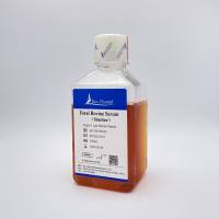 类胎牛血清Fetal Bovine Serum (Similar)