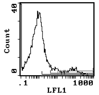 HLA-DR antibody [YD1/63.4.10]