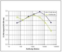 MECP2 antibody - ChIP grade
