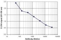 Retinoic Acid Receptor alpha antibody - ChIP grade