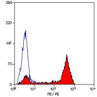 CD52 antibody [YTH34.5] (PE)