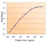 RAD9A antibody, C-term