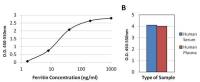 Ferritin antibody [101]