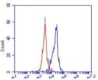 OLR1 / LOX-1 antibody [23C11]