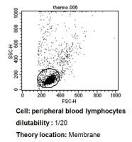 TCR V beta 3.1 antibody [8F10] (FITC)