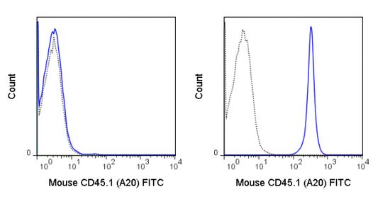CD45.1 antibody [A20] (FITC)