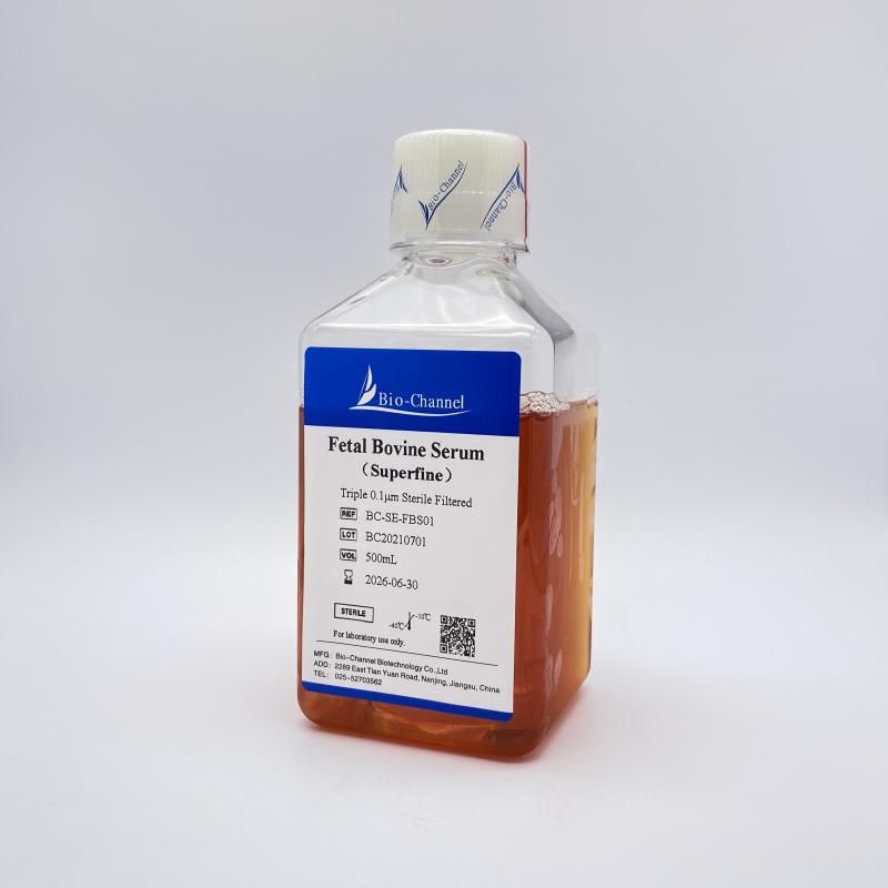 特級胎牛血清 Fetal Bovine Serum（Superfine）