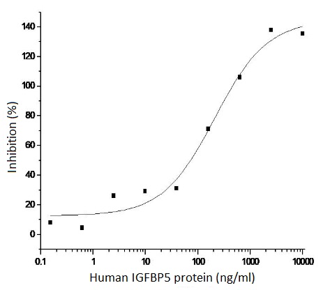 Human IGFBP5 protein, His tag (active)
