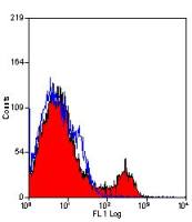 CD4 antibody [YTS191.1]