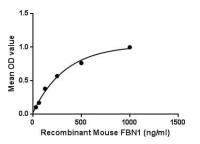 Mouse Fibrillin 1 protein, His tag