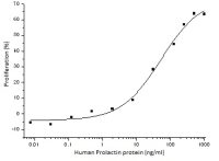 Human Prolactin protein, His tag (active)