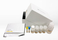 SARS-CoV-2 (COVID-19) Nucleocapsid Protein Sandwich ELISA Kit