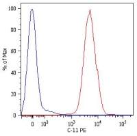 pan Cytokeratin antibody [C-11] (PE)
