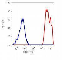 CD36 antibody [TR9] (PE)