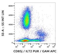 LILRB1 antibody [GHI/75]