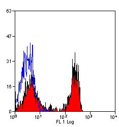 SIRP alpha antibody [BL1H7] (FITC)