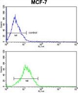 RBM3 antibody, Internal