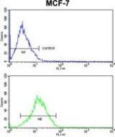 RBM3 antibody, Internal