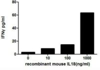 Mouse IL18 protein, His tag (active)