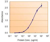 Nodal antibody, Internal