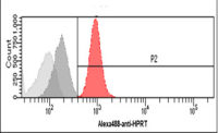 HPRT antibody [AT1D9]
