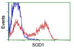 SOD1 antibody [8B10]