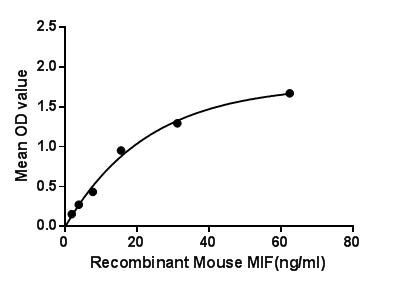 Mouse MIF protein, His tag