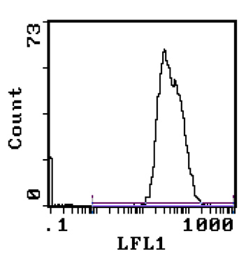 HLA Class I antibody [W6/32]