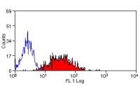 CD83 antibody [3D11] (FITC)