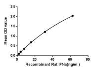 Rat Interferon alpha 1 protein, His tag