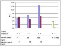 Mouse GITRL protein, DDDDK tag (active)