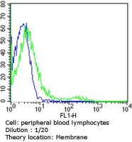 TCR V alpha 12.1 antibody [6D6.6] (FITC)