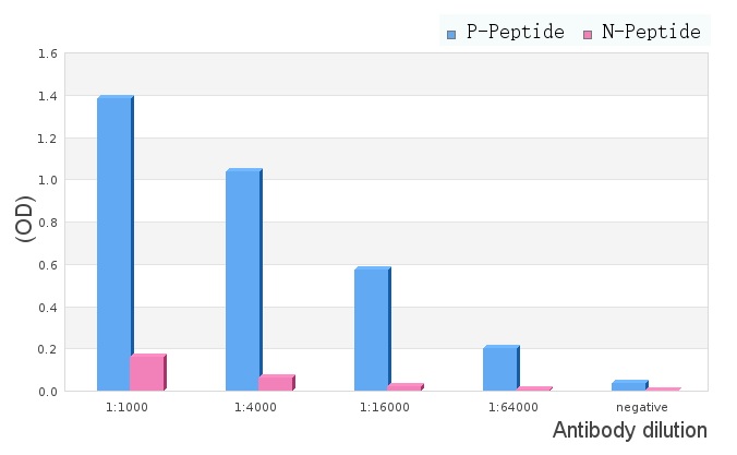 Steroidogenic Factor 1 (phospho Ser203) antibody