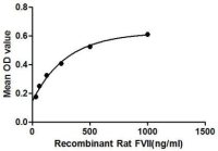 Rat Factor VII protein, His tag