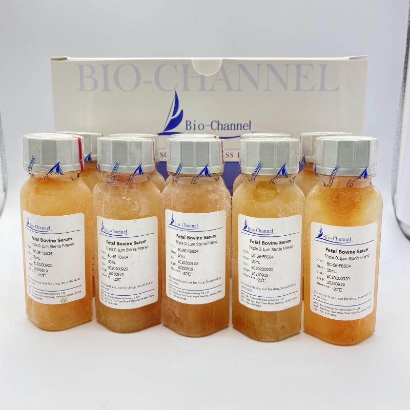 特級胎牛血清 Fetal Bovine Serum（Superfine），BC-SE-FBS01C