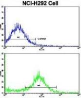 VTI1A antibody, C-term