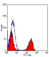 T Lymphocytes antibody [KEN-5] (FITC)
