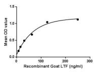 Goat Lactoferrin protein, His tag