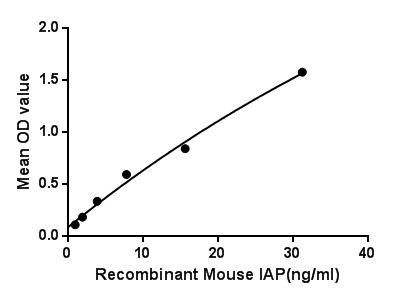 Mouse CD47 protein, His tag