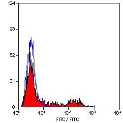 MHC Class II DQ/DR (polymorphic) antibody [49.1] (FITC)