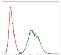 Ubiquitin B antibody [3C12]